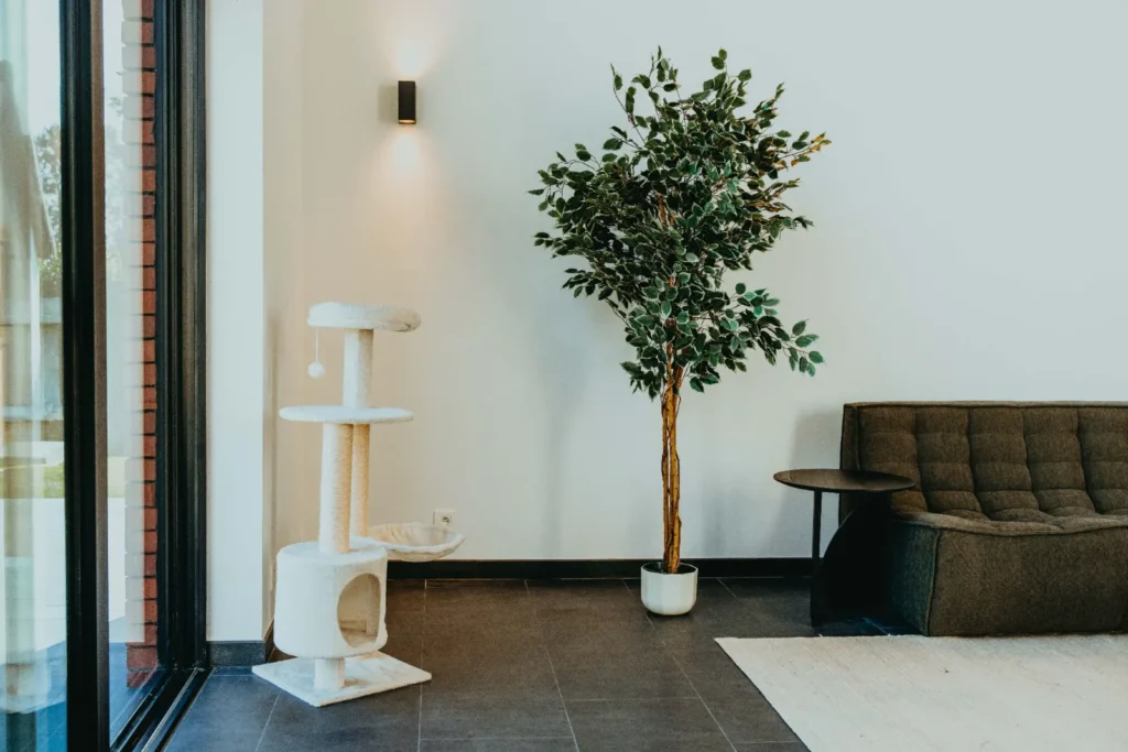 Totaalrenovatie Gent: foto 4 van de werken